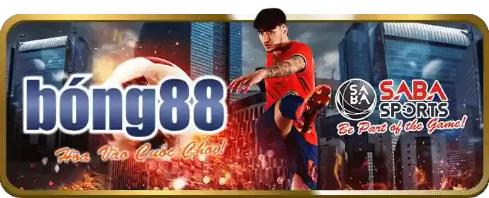 Cá cược thể thao 3app